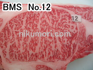 BMS.no12